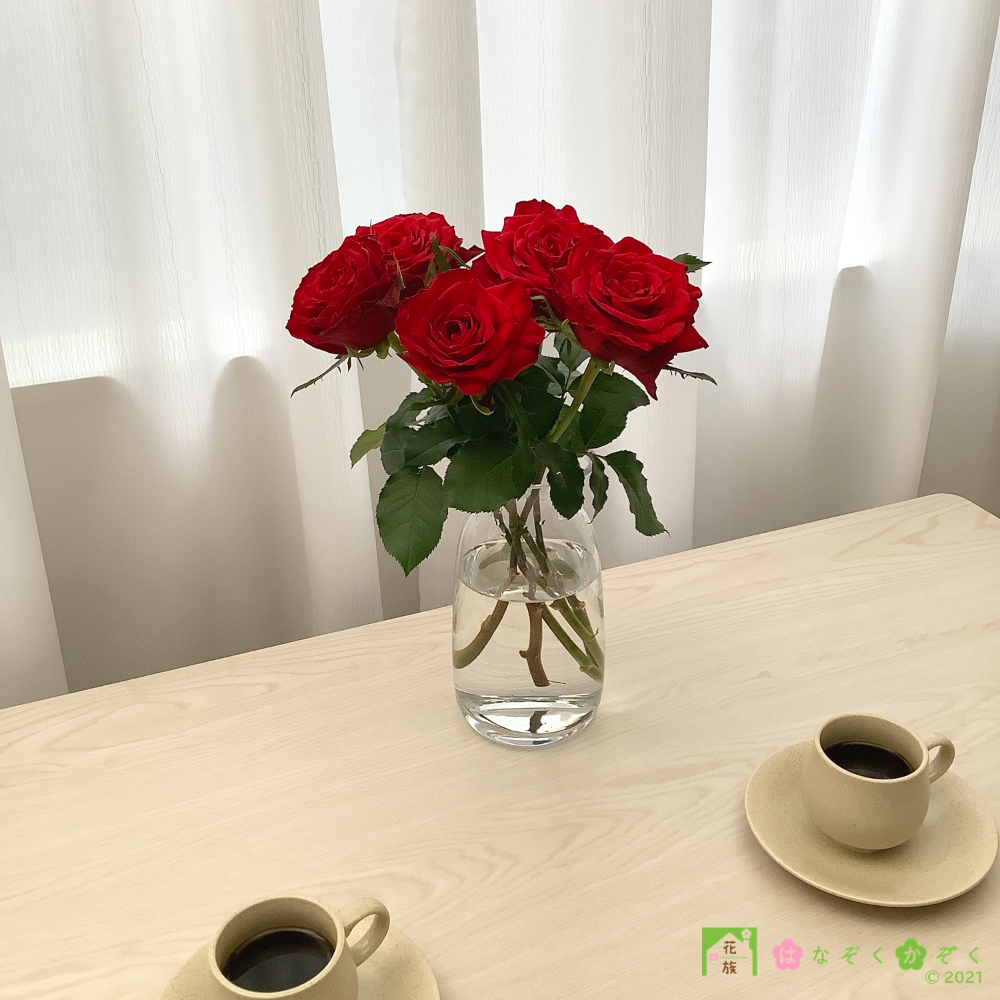 【バラ　赤】ブリランテ／ハウスの中から最もゴージャスなバラをお届け。７本