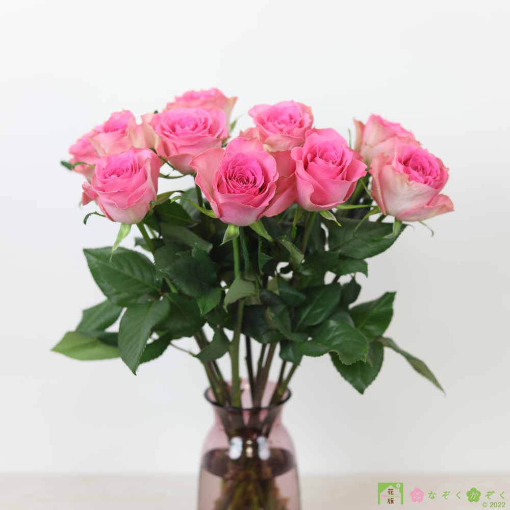 ５月いっぱいは、母の日月間！岡山県 藤原農園さんの〖薔薇〗ブロッサムピンク１０本　Blossom pink