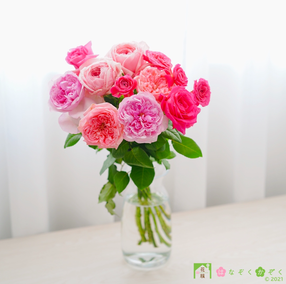 【香りの薔薇】人気品種ピンクMIX１０本