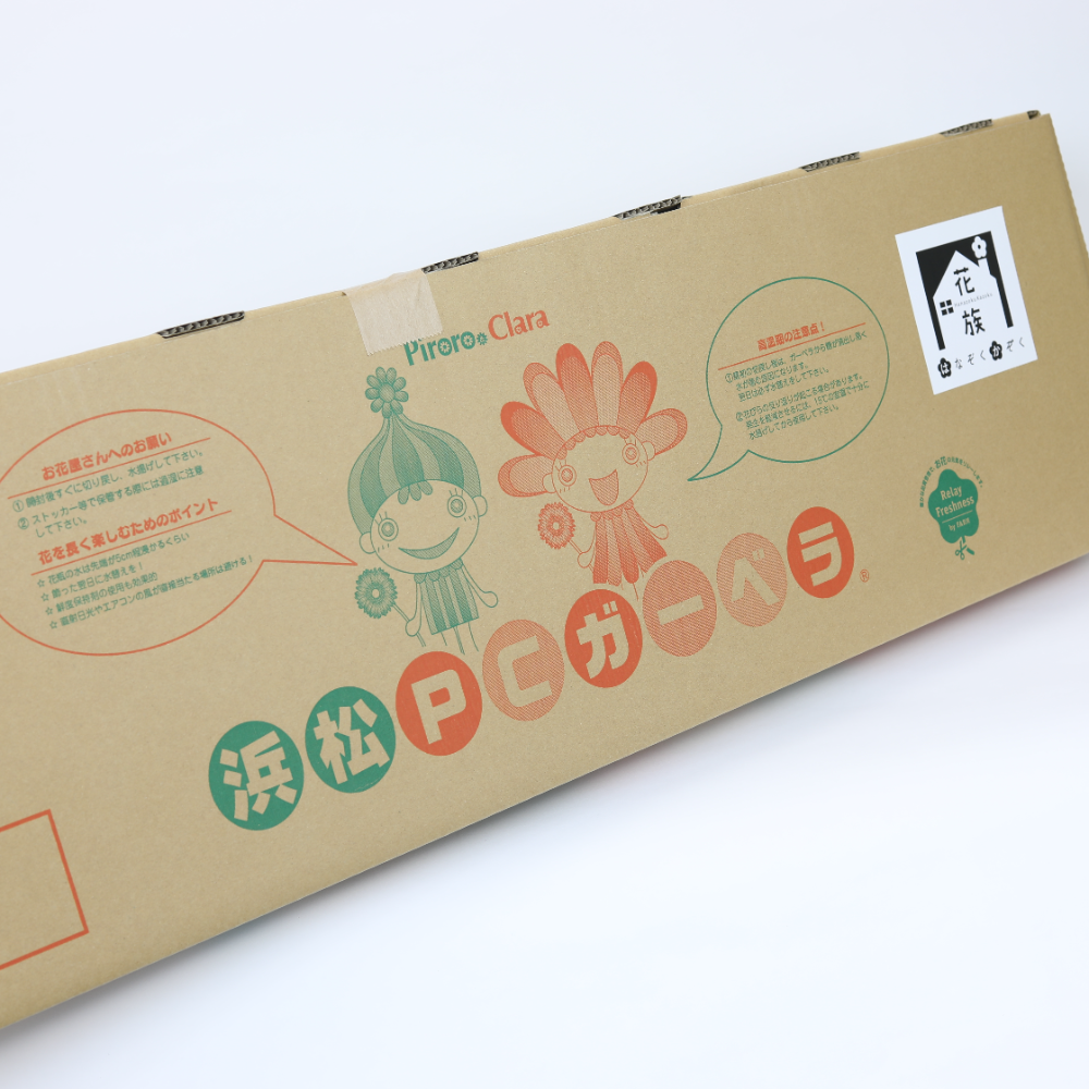 静岡県 浜松PCガーベラさんの全部違う品種ガーベラ50本【HALF MILLION DOLLER BOX】